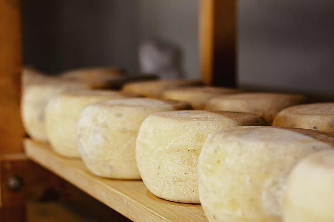 assortment-of-delicious-rustic-cheese