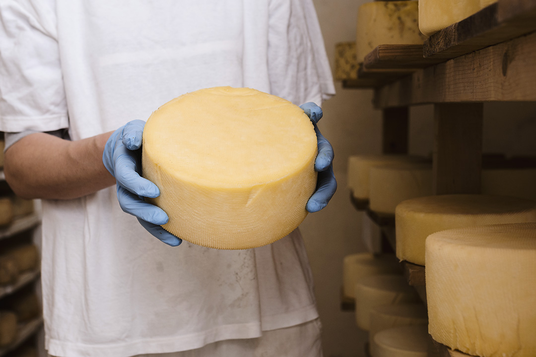 man-holding-a-cheese-roll