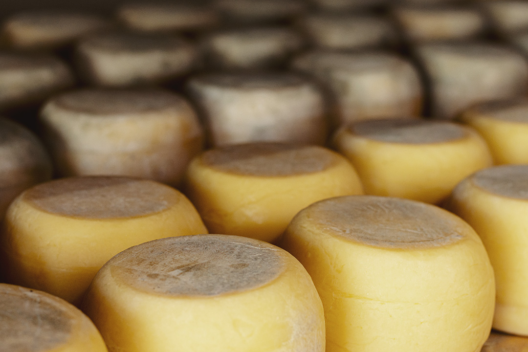 variety-of-rustic-cheese-wheels