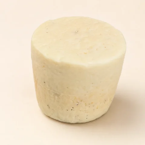 Cacioricotta