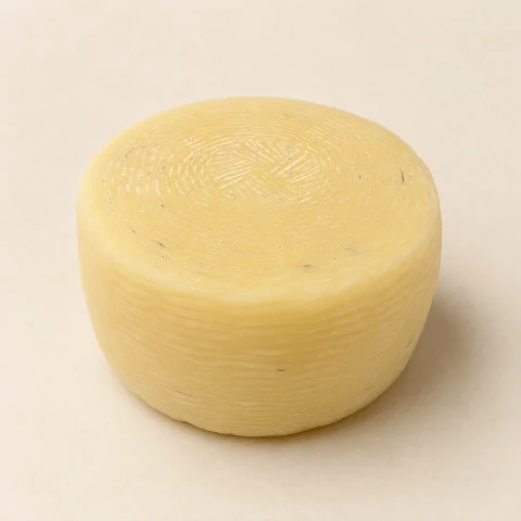 Pecorino semi stagionato (15gg - 3 mesi)