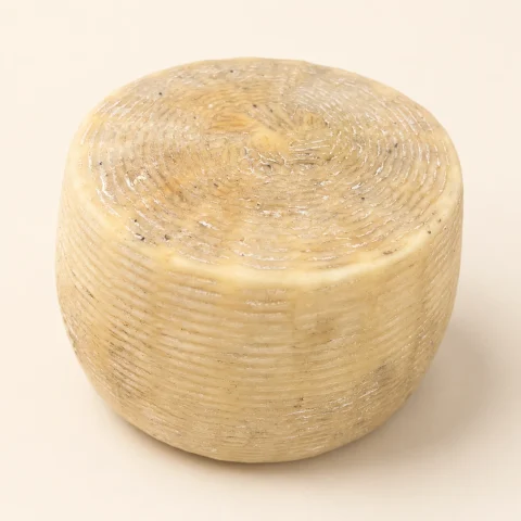 Pecorino stagionato (3 - 6 mesi)